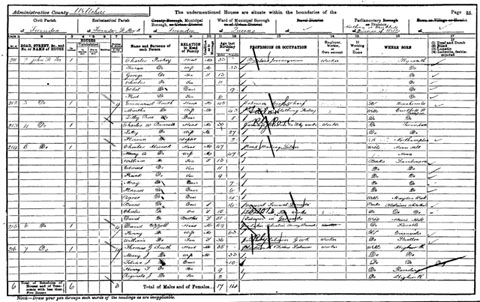 census-example